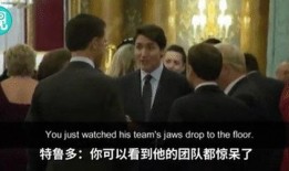 特朗普八卦爆料视频大全,八卦爆料视频大全深度解析